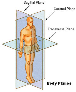 رسم توضيحي للطائرات السهمية والإكليلية والعرضية لجسم الإنسان