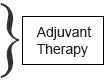 Text Box: Adjuvant Therapy