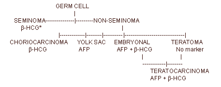 Chart showing the use of tumor markers