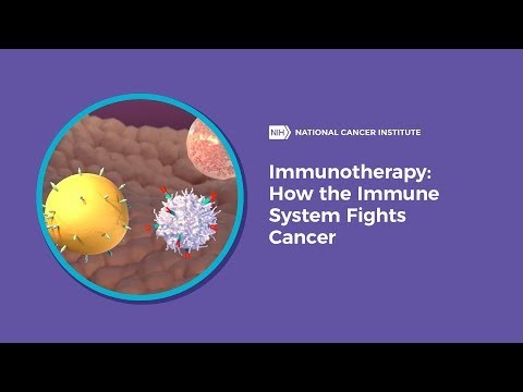 Immunotherapy: How the Immune System Fights Cancer.
